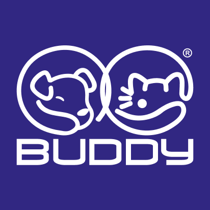Buddy Toys